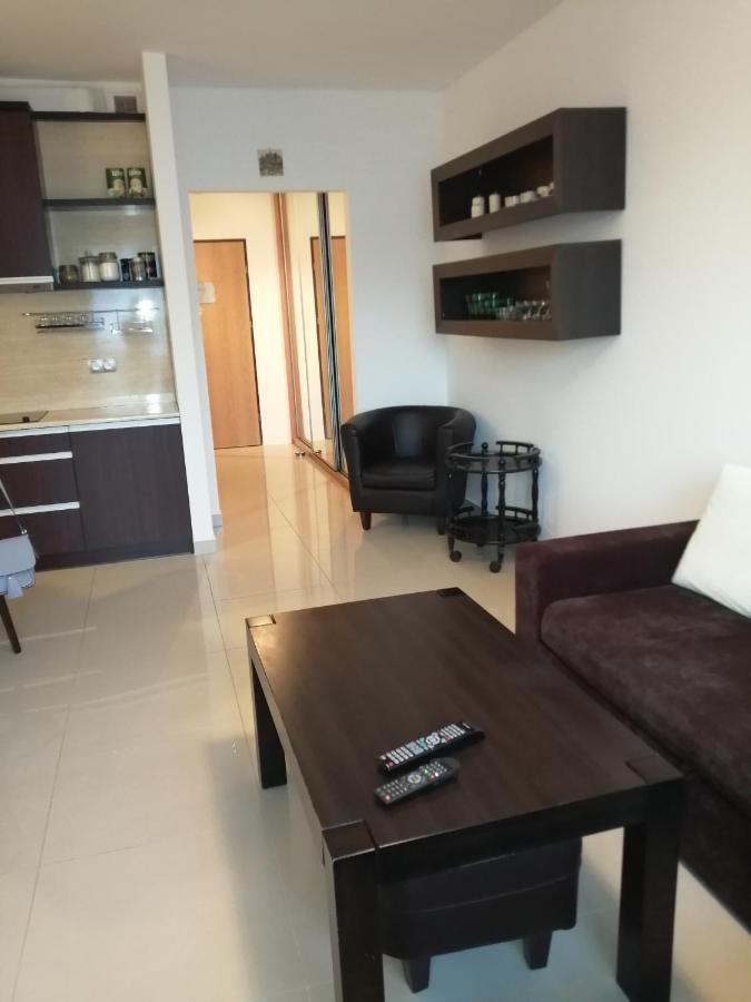 Apartament Rownica Ustron Kültér fotó